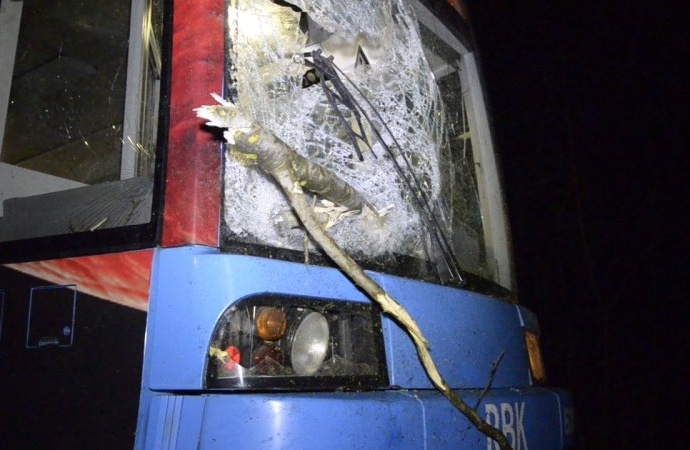 Tram-Unfall durch umgestürzten Baum