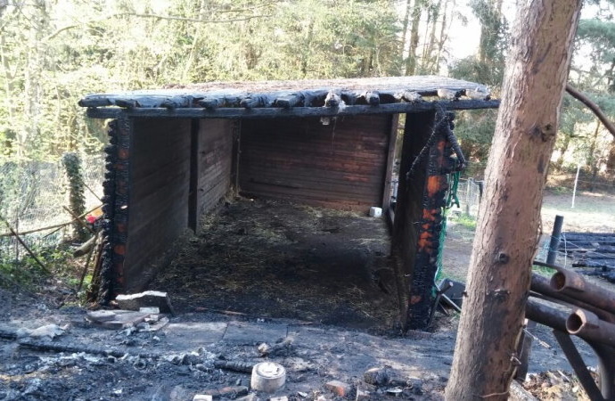 Pferdeunterstand brannte in Oberkaufungen