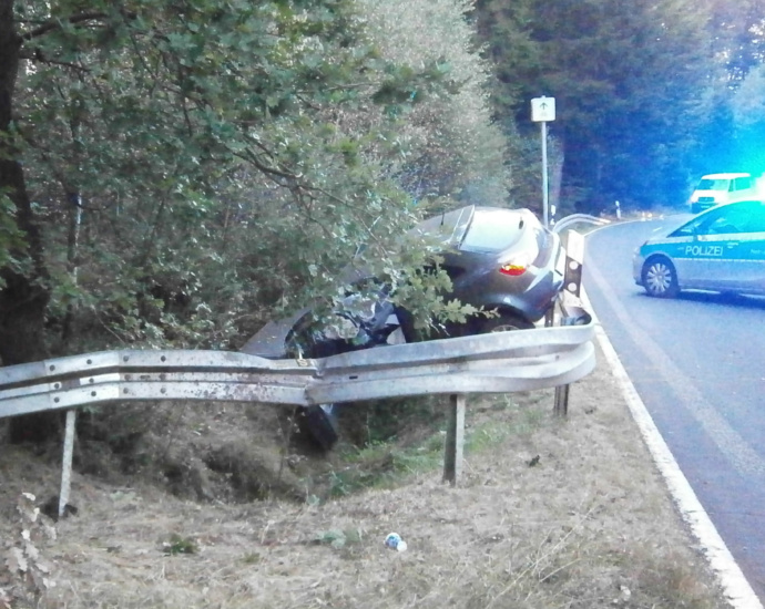 Wildunfall: Autofahrer wich Reh aus und wird schwer verletzt