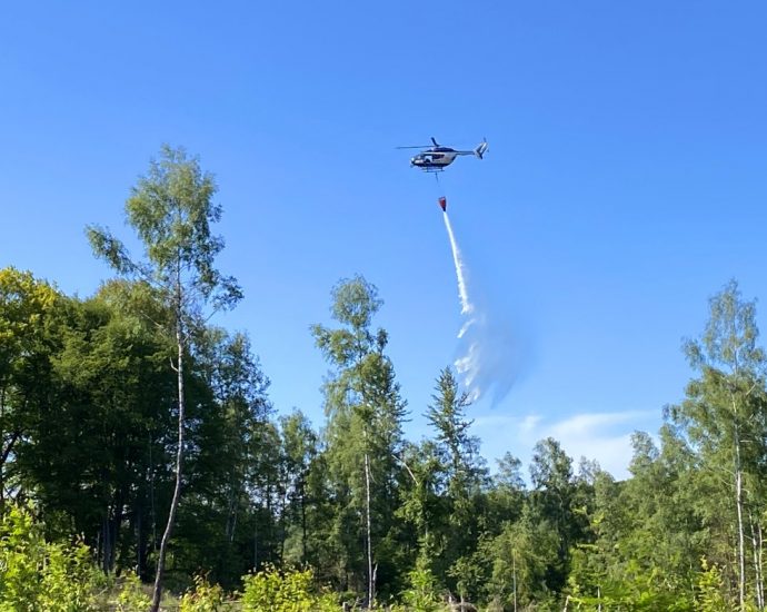 3000 qm – 130 Einsatzkräfte bei Waldbrand in Kassel im Einsatz