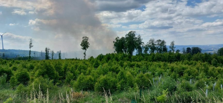 3,7 Hektar Wald brannten im Kaufunger Wald