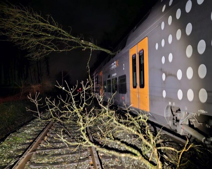 NRW: Baum kracht auf Zug bei Höxter – 171 Reisende müssen evakuiert werden