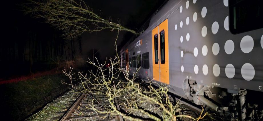 NRW: Baum kracht auf Zug bei Höxter – 171 Reisende müssen evakuiert werden