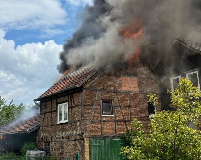 HOG: Schuppenbrand greift auf Haus über – Brandursache noch unklar