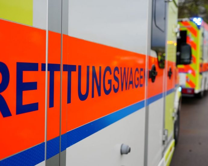 KS: PKW erfasst Fußgängerin – Hund tödlich verletzt