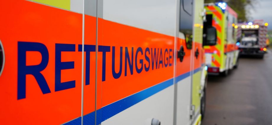 KS: PKW erfasst Fußgängerin – Hund tödlich verletzt