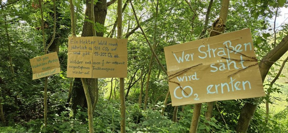 30 Hektar Wald sollen gerodet werden – Protest gegen Brückenneubau im Söhrewald