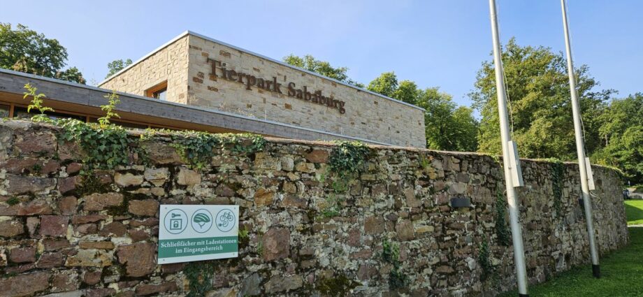 Tierpark Sababurg öffnet nach Unwetter wieder