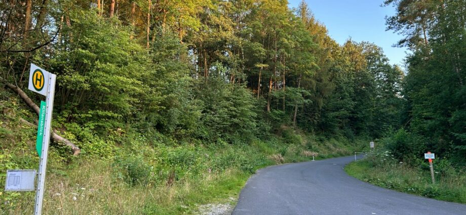 Fahndungsdruck zu hoch – Tatverdächtiger stellt sich nach Leichenfund im Wald der Polizei