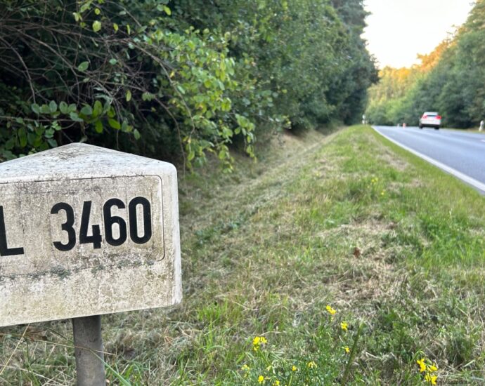 Kehrtwende nach Leichenfund im Waldstück – Tatverdächtiger wieder frei