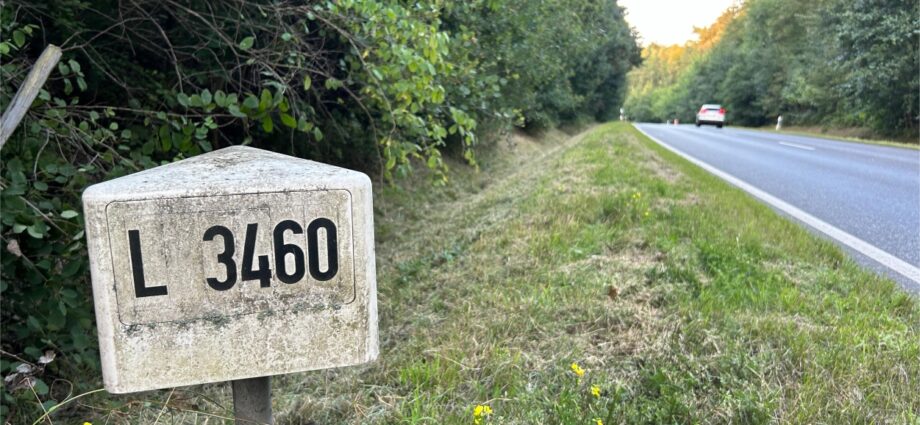 Nach Leichenfund im Wald nahe Dörnhagen – Verstorbene identifiziert