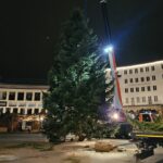 Nach Transportproblemen: Kasseler Weihnachtsbaum erreicht endlich den Königsplatz