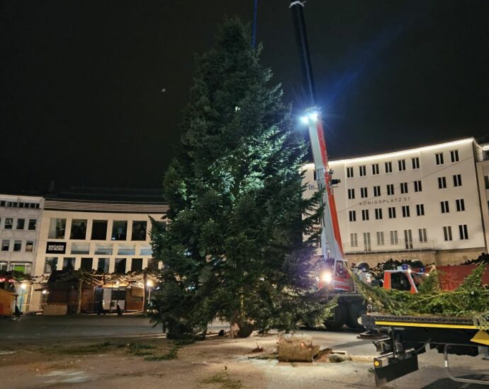 Nach Transportproblemen: Kasseler Weihnachtsbaum erreicht endlich den Königsplatz