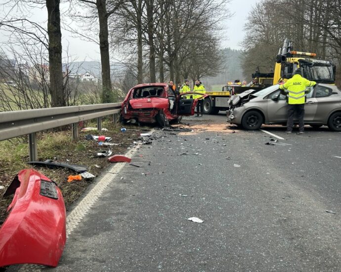 PKW kollidiert mit Wildtier – Tödlicher Unfall bei Sontra